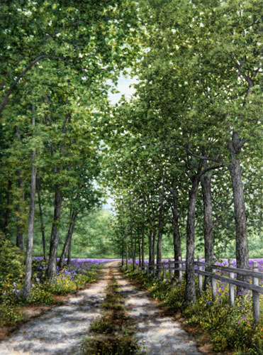 Road on the Farm